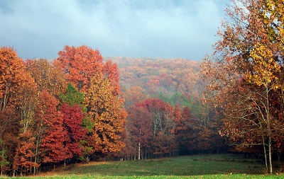 The Dangers of Progress in the Ozarks
